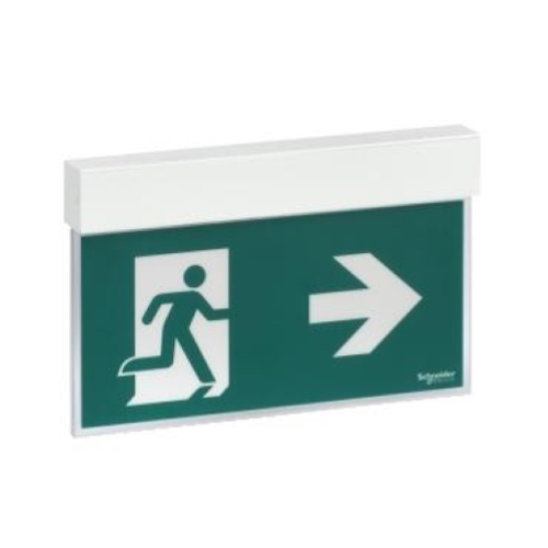 EXIWAY EASYSIGN, IP40, AUTOALIMENTATO STANDARD, PERMANENTE (SA) / NON PERMANENTE (SE), 24M, 1,5H, APPARECCHIO DI SEGNALAZIONE DI SICUREZZA
